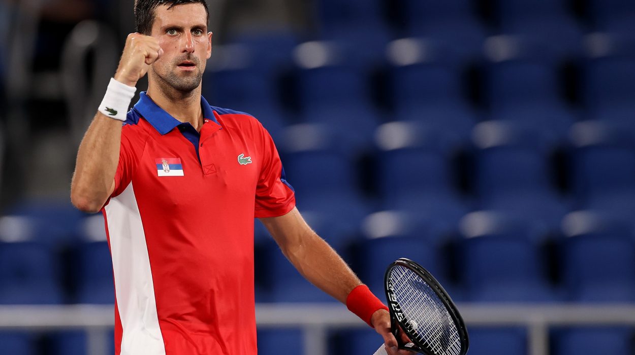 Novak Djokovic proche du Grand Chelem historique.