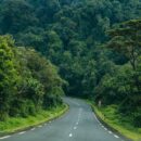 Une route bitumée du Nyungwe park au Rwanda