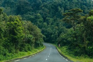 Une route bitumée du Nyungwe park au Rwanda