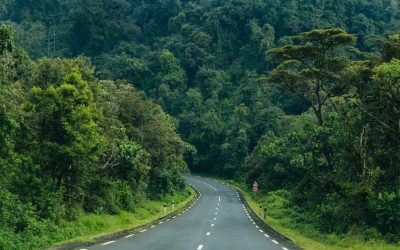 Une route bitumée du Nyungwe park au Rwanda