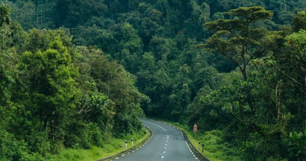 Une route bitumée du Nyungwe park au Rwanda
