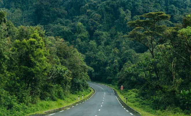 Une route bitumée du Nyungwe park au Rwanda