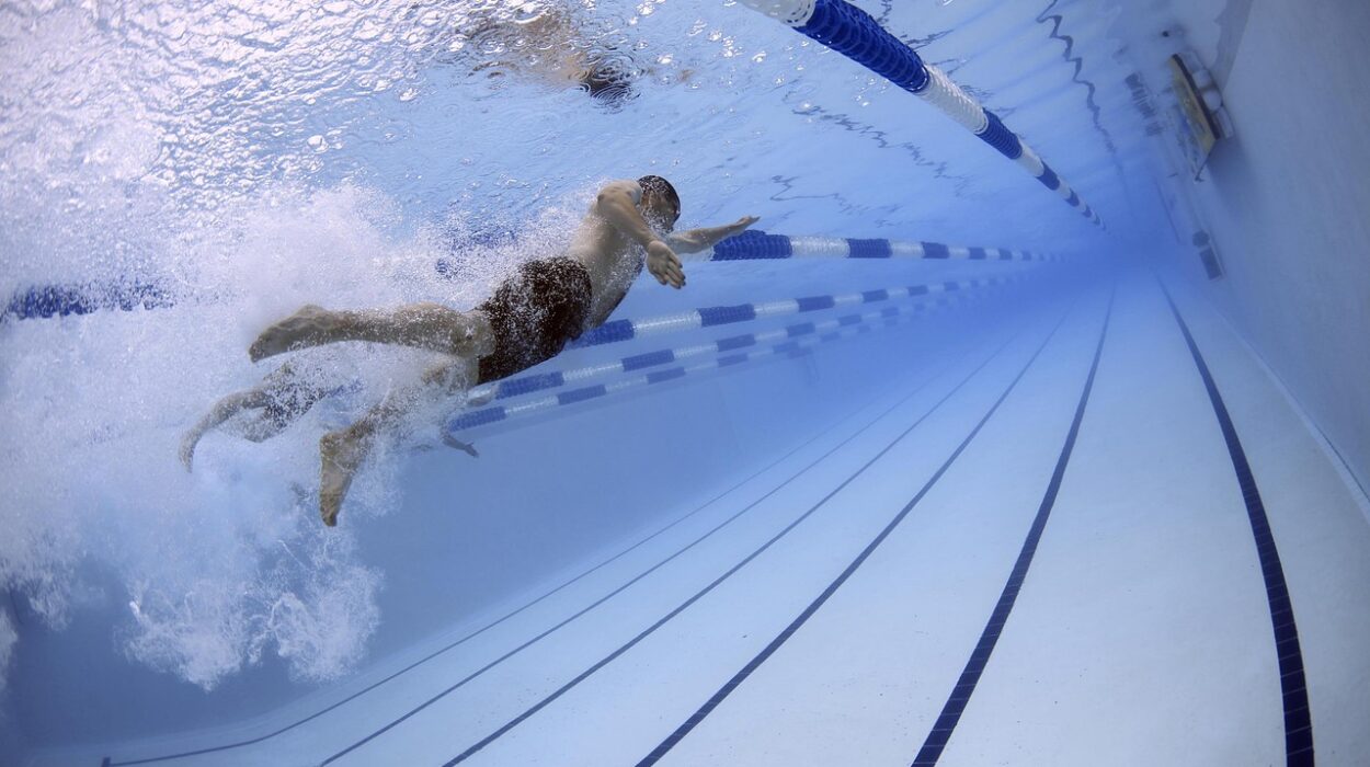 piscines olympiques