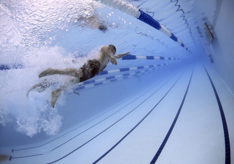 piscines olympiques